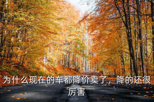 為什么現(xiàn)在的車都降價賣了，降的還很厲害