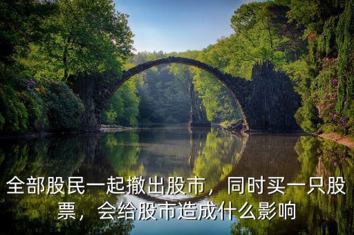 全部股民一起撤出股市，同時買一只股票，會給股市造成什么影響