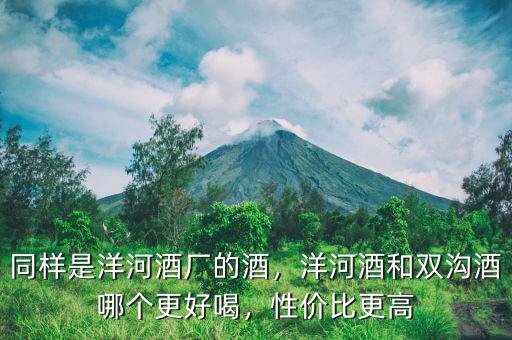 同樣是洋河酒廠的酒，洋河酒和雙溝酒哪個(gè)更好喝，性價(jià)比更高