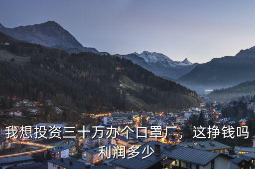 我想投資三十萬辦個口罩廠，這掙錢嗎利潤多少