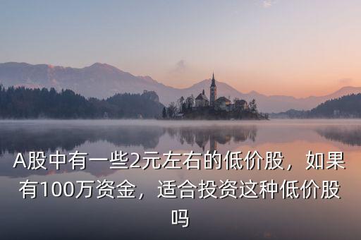 A股中有一些2元左右的低價股，如果有100萬資金，適合投資這種低價股嗎