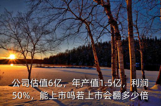 公司估值6億，年產(chǎn)值1.5億，利潤(rùn)50%，能上市嗎若上市會(huì)翻多少倍