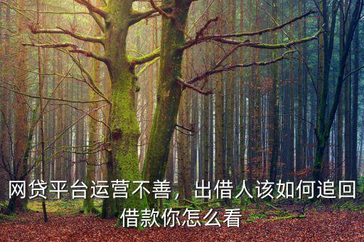 網(wǎng)貸平臺(tái)運(yùn)營(yíng)不善，出借人該如何追回借款你怎么看