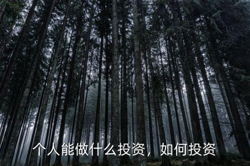 個(gè)人能做什么投資，如何投資