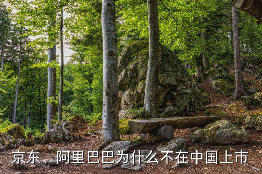 京東、阿里巴巴為什么不在中國(guó)上市