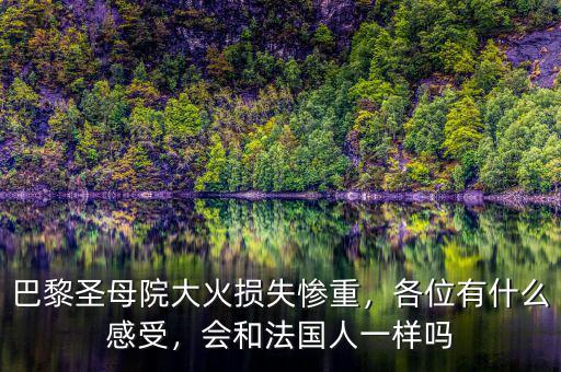 巴黎圣母院大火損失慘重，各位有什么感受，會(huì)和法國(guó)人一樣嗎