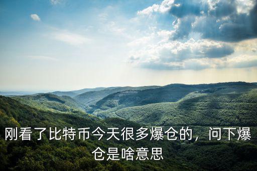剛看了比特幣今天很多爆倉的，問下爆倉是啥意思