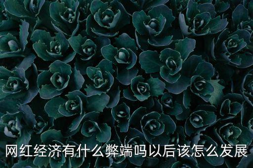 網紅經濟有什么弊端嗎以后該怎么發(fā)展