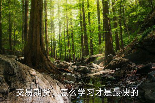 交易期貨，怎么學(xué)習(xí)才是最快的