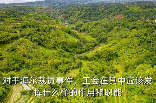對于海爾裁員事件，工會在其中應(yīng)該發(fā)揮什么樣的作用和職能