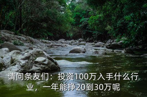 請問條友們：投資100萬入手什么行業(yè)，一年能掙20到30萬呢