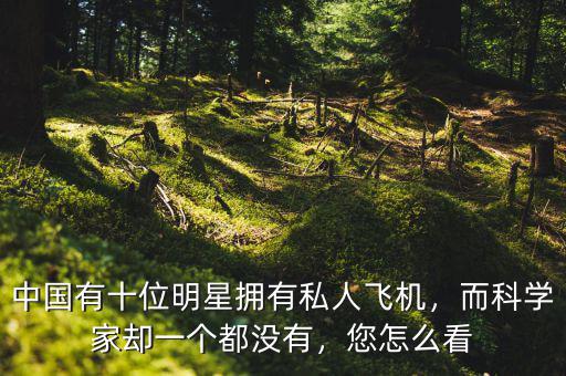 中國有十位明星擁有私人飛機(jī)，而科學(xué)家卻一個都沒有，您怎么看