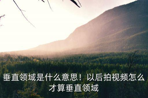 垂直領域是什么意思！以后拍視頻怎么才算垂直領域