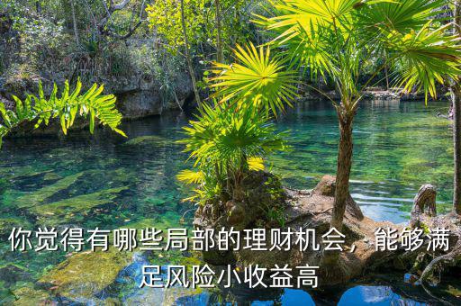 你覺得有哪些局部的理財機(jī)會，能夠滿足風(fēng)險小收益高