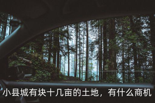 小縣城有塊十幾畝的土地，有什么商機(jī)