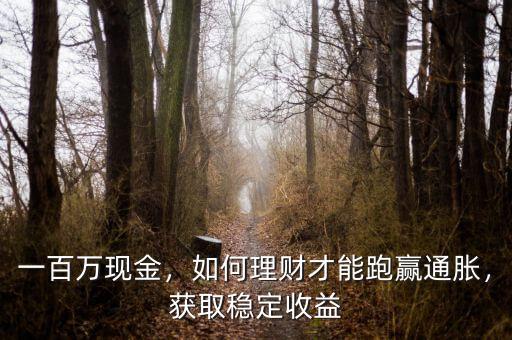 一百萬(wàn)現(xiàn)金，如何理財(cái)才能跑贏通脹，獲取穩(wěn)定收益