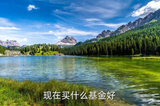 現(xiàn)在購(gòu)買(mǎi)什么基金好,買(mǎi)什么種類的基金好