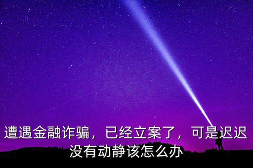 遭遇金融詐騙，已經(jīng)立案了，可是遲遲沒有動靜該怎么辦