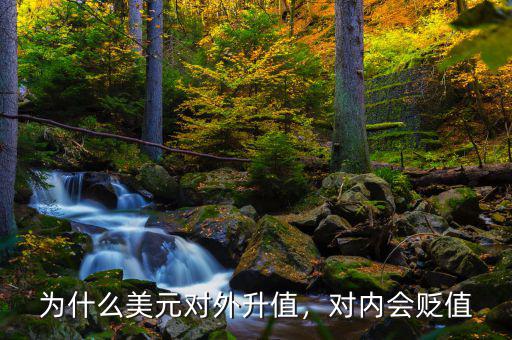 為什么美元對外升值，對內(nèi)會貶值