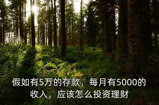假如有5萬的存款，每月有5000的收入，應該怎么投資理財