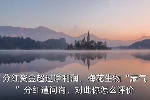 分紅資金超過凈利潤，梅花生物“豪氣”分紅遭問詢，對此你怎么評價