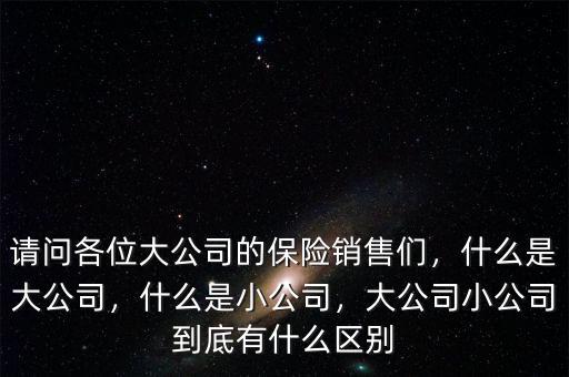 請問各位大公司的保險銷售們，什么是大公司，什么是小公司，大公司小公司到底有什么區(qū)別