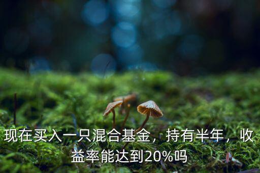 現(xiàn)在買入一只混合基金，持有半年，收益率能達到20%嗎