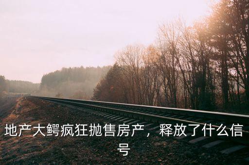 地產(chǎn)大鱷瘋狂拋售房產(chǎn)，釋放了什么信號