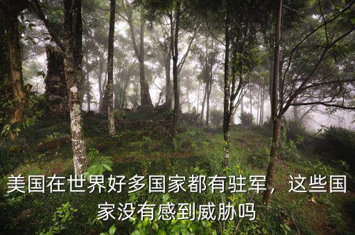 美國(guó)在多少?lài)?guó)家有駐軍,現(xiàn)在美國(guó)在全球有多少駐軍