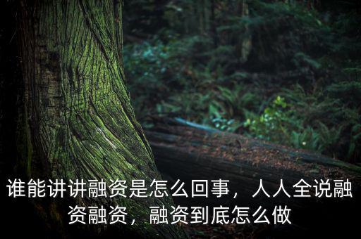 誰能講講融資是怎么回事，人人全說融資融資，融資到底怎么做