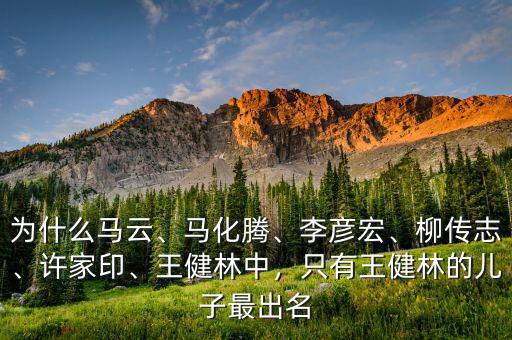 為什么馬云、馬化騰、李彥宏、柳傳志、許家印、王健林中，只有王健林的兒子最出名