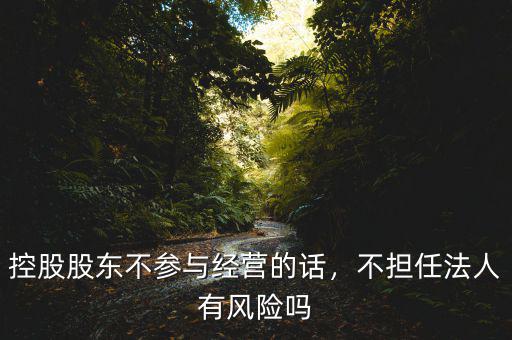 控股股東不參與經營的話，不擔任法人有風險嗎