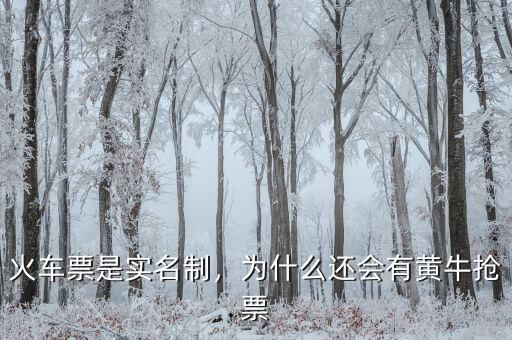 火車票是實(shí)名制，為什么還會(huì)有黃牛搶票