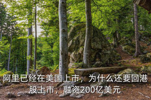阿里已經(jīng)在美國上市，為什么還要回港股上市，融資200億美元
