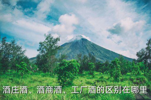 酒莊酒、酒商酒、工廠酒的區(qū)別在哪里