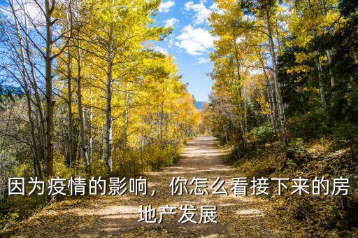 因為疫情的影響，你怎么看接下來的房地產(chǎn)發(fā)展