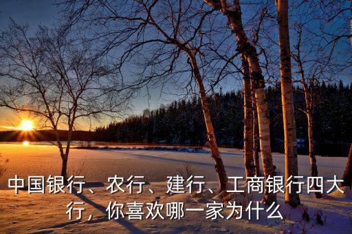 中國銀行、農(nóng)行、建行、工商銀行四大行，你喜歡哪一家為什么