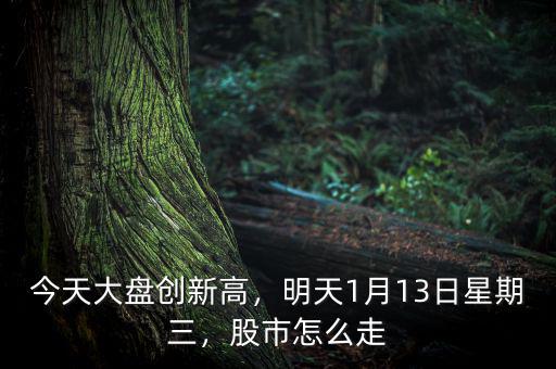 今天大盤創(chuàng)新高，明天1月13日星期三，股市怎么走