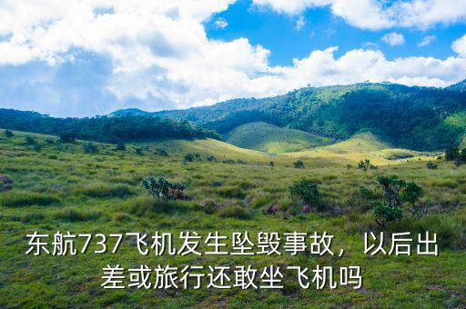 東航737飛機發(fā)生墜毀事故，以后出差或旅行還敢坐飛機嗎