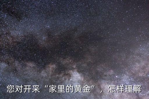您對開采“家里的黃金”，怎樣理解