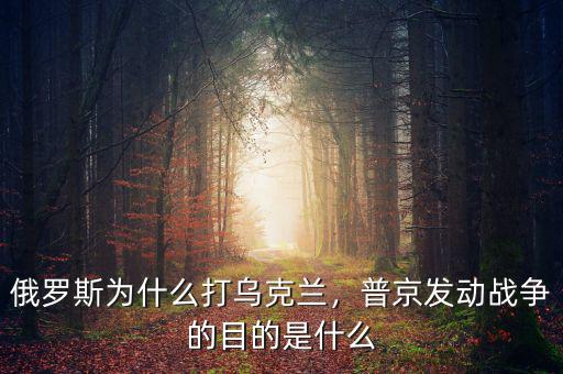 俄羅斯為什么打?yàn)蹩颂m，普京發(fā)動(dòng)戰(zhàn)爭的目的是什么