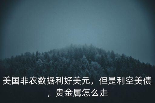美國非農(nóng)數(shù)據(jù)利好美元，但是利空美債，貴金屬怎么走