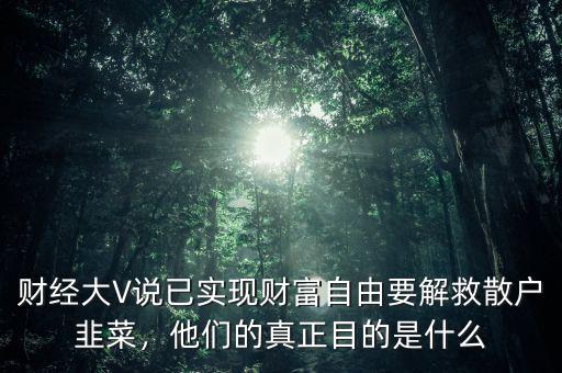 財經(jīng)大V說已實現(xiàn)財富自由要解救散戶韭菜，他們的真正目的是什么