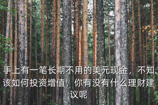 手上有一筆長期不用的美元現(xiàn)金，不知該如何投資增值，你有沒有什么理財建議呢
