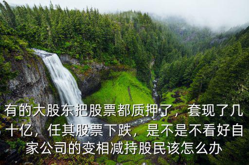 有的大股東把股票都質(zhì)押了，套現(xiàn)了幾十億，任其股票下跌，是不是不看好自家公司的變相減持股民該怎么辦