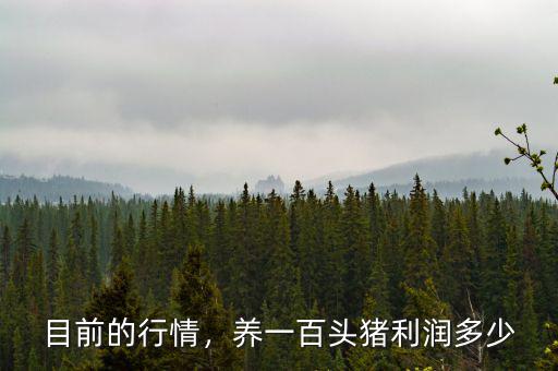 目前的行情，養(yǎng)一百頭豬利潤(rùn)多少