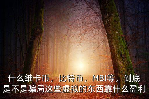 什么維卡幣，比特幣，MBI等，到底是不是騙局這些虛擬的東西靠什么盈利