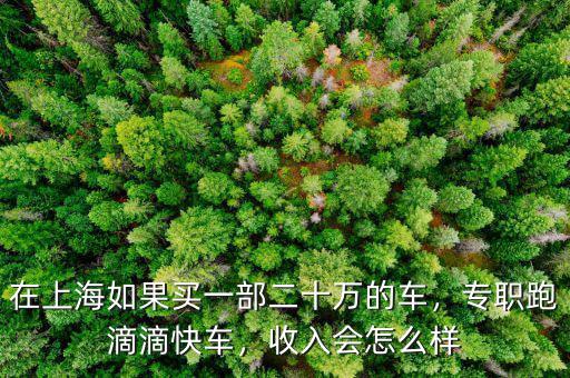 在上海如果買一部二十萬(wàn)的車，專職跑滴滴快車，收入會(huì)怎么樣