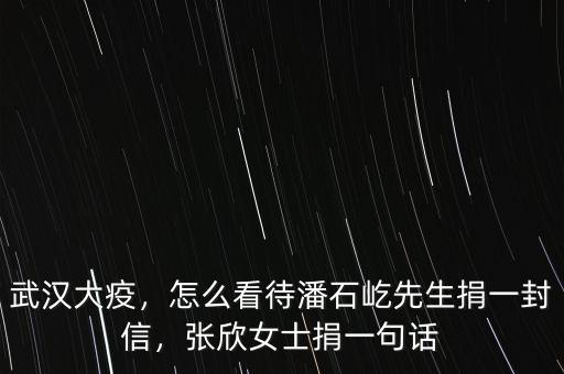 武漢大疫，怎么看待潘石屹先生捐一封信，張欣女士捐一句話