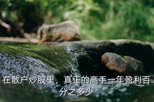 在散戶炒股里，真正的高手一年盈利百分之多少